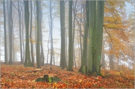 <p>Šluknovsko - Království</p>